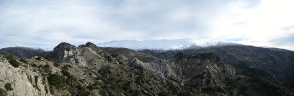 Los Alayos