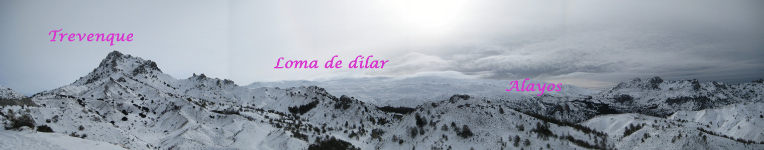 Treveque
