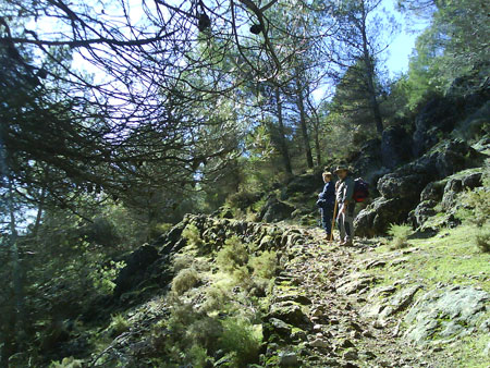 Senda de las Merendicas. Ruta de las Merendicas