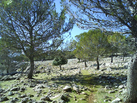 Ruta de las Merendicas