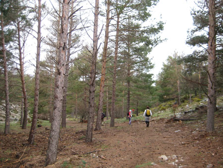 4 miles Cumbres Verdes