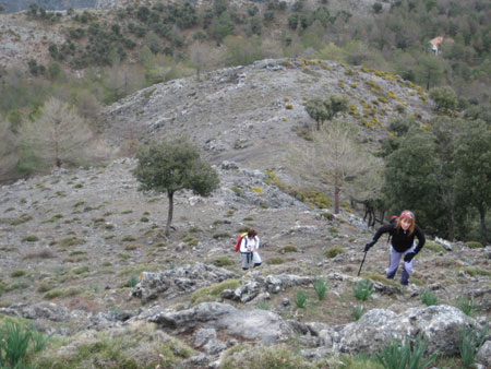 4 miles Cumbres Verdes