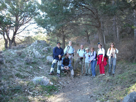 Zona de Pinos y Florecillas