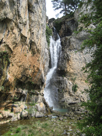 Cascada del Salto de los Organos