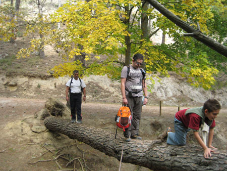 Fuente de la Teja.