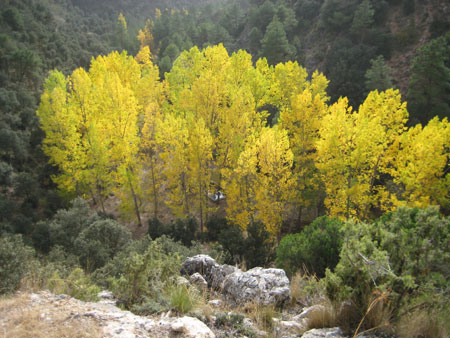 Mirador de las Veguillas.
