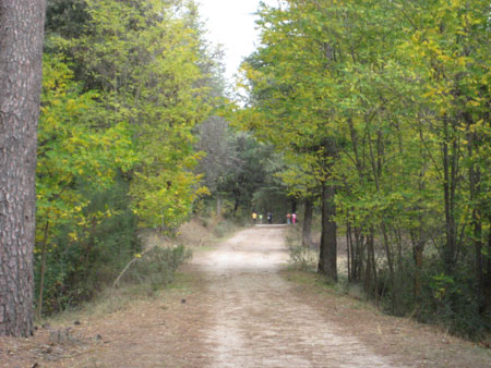 Final de la ruta de la Cañada del Sereno.