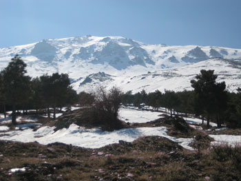 Morrón del Mediodía.