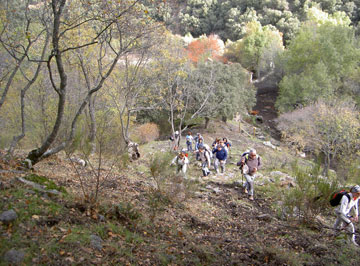 Ascenso por el Bosque encantado de Lugros.