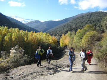 Hacia el Bosque encantado de Lugros.
