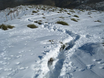 Descenso del Corona.