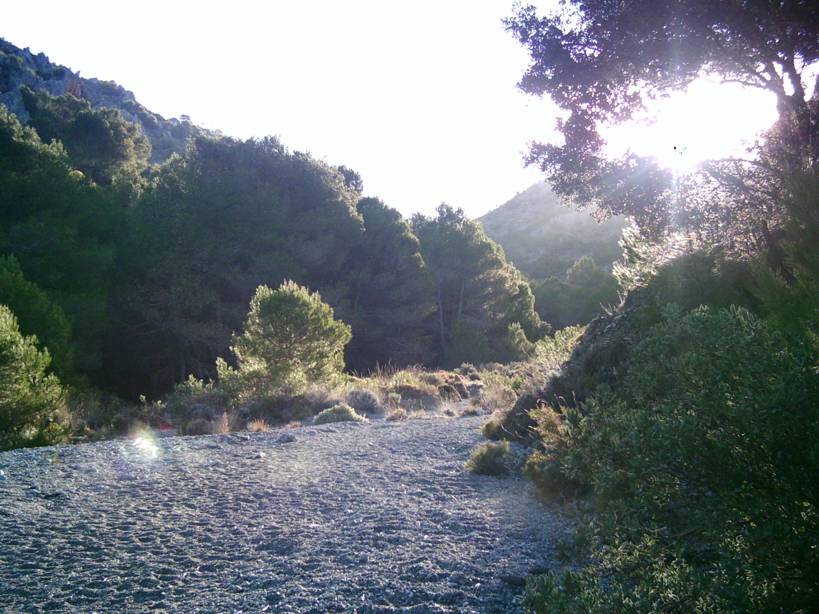 Rambla Seca