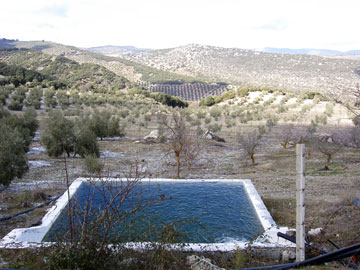 Illora