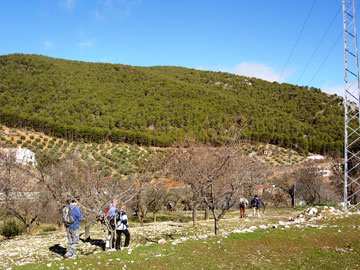 Illora