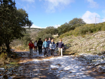 Foto de Grupo