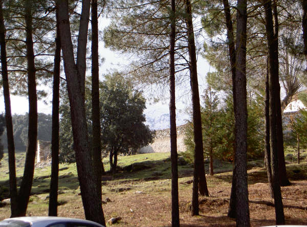 La Maroma. Casa Forestal del Robledal Alto