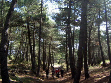 La Maroma. Casa Forestal del Robledal Alto