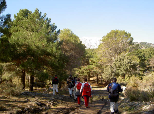 La Maroma.