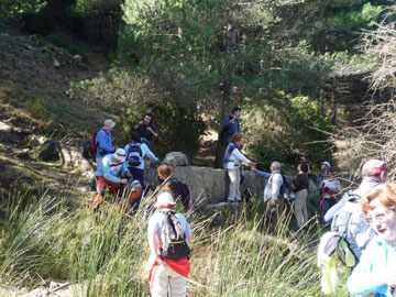Foto de Grupo