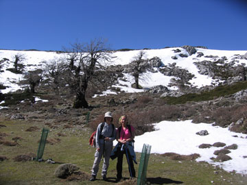 Puerto del Saucillo. La nieve se deja ver.