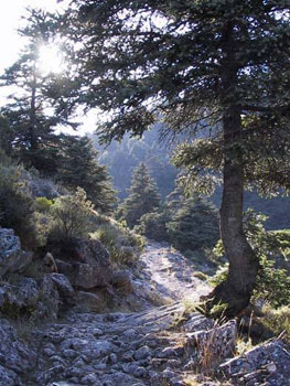 Maravilloso paisaje.