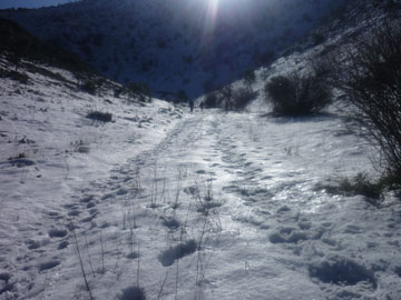 Ruta Cerro de Buenavista.