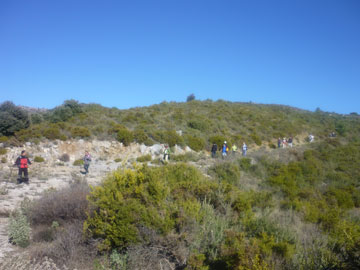 Ruta Cerro de Buenavista.