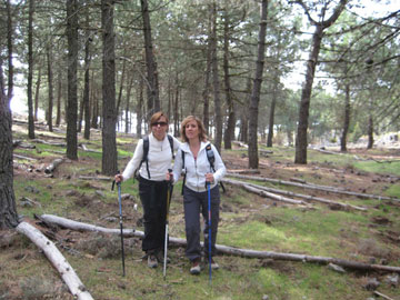 Cruz de Alfacar. Sierra de Huetor.