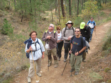 Bajada del Cerro del Maullo. Sierra de Huetor.