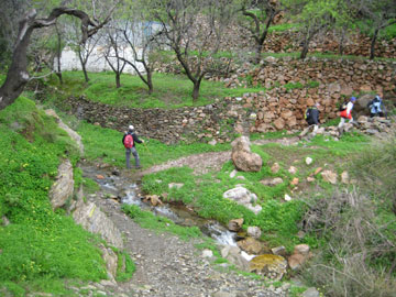 Agua por todos sitios. Lagos.