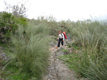 Almendros y agua por todos sitios - Lagos.