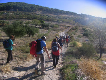Entre almendros y olivos. Hacia Moclín