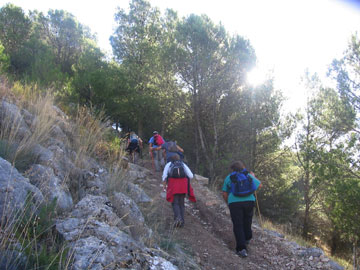 Entre almendros y olivos. Hacia Moclín