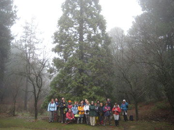 Sequoya. Por la Sierra de Huetor