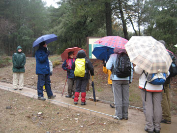 El sendero estaba hecho para todo tipo de personas