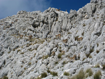 Ruta Peñón de la Mata.