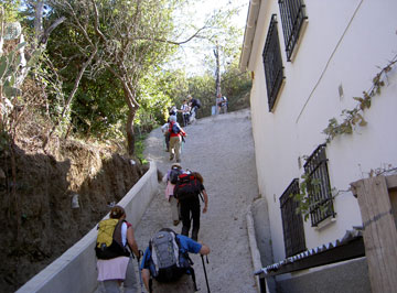 Castaños. Valle del Genal.