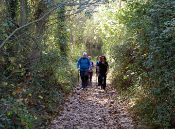 Valle del Genal.