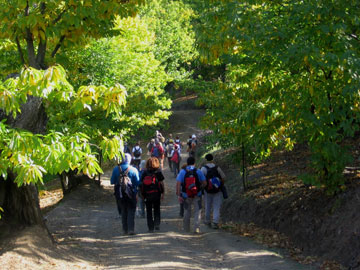 Valle del Genal.