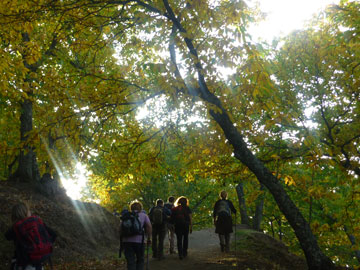 Valle del Genal.