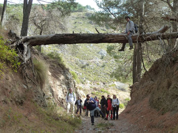 Cerrajón