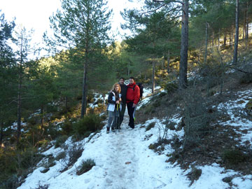 Mirador del Polvorite