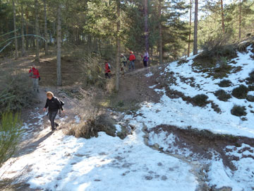 Mirador del Polvorite
