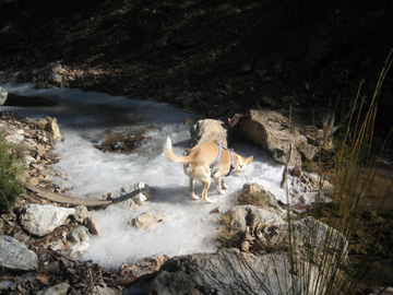 Cañada del Sereno