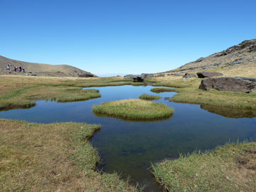 Sierra Nevada
