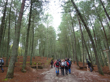 Ascenso a la Maroma