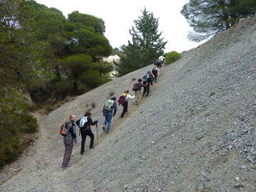 Foto de Grupo