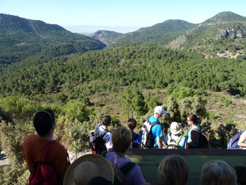 Mirador. Cañada del Sereno