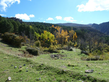 Circular trevenque. Cortijo Rosales.