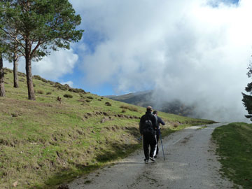Circular trevenque.